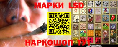 винт Донецк