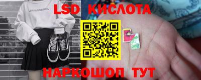 винт Донецк