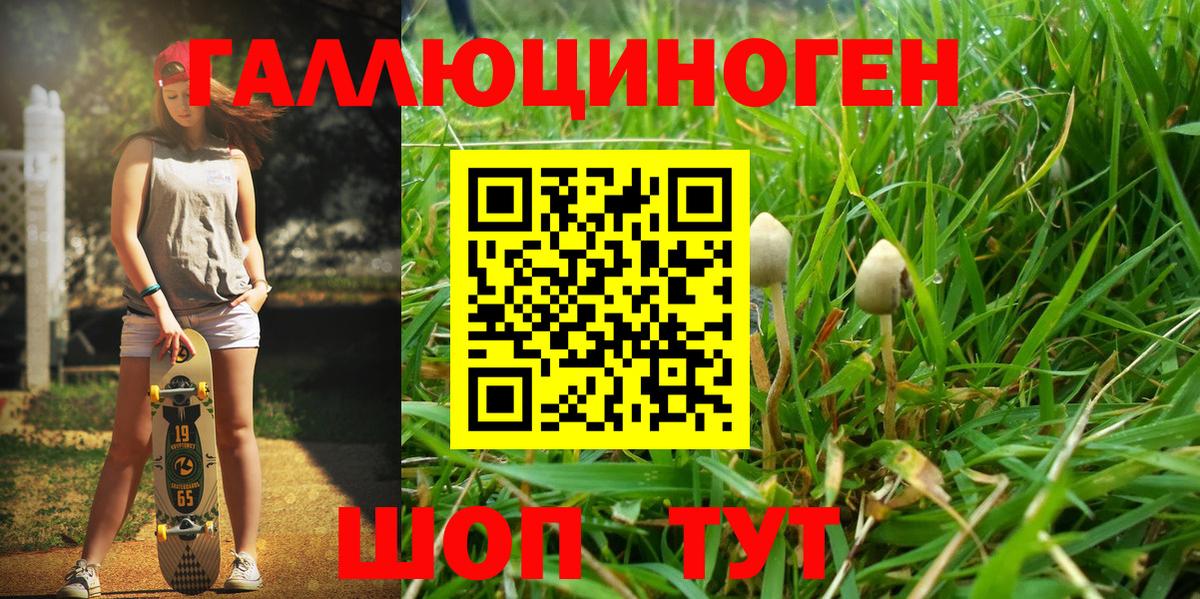 Псилоцибиновые грибы MAGIC MUSHROOMS Москва