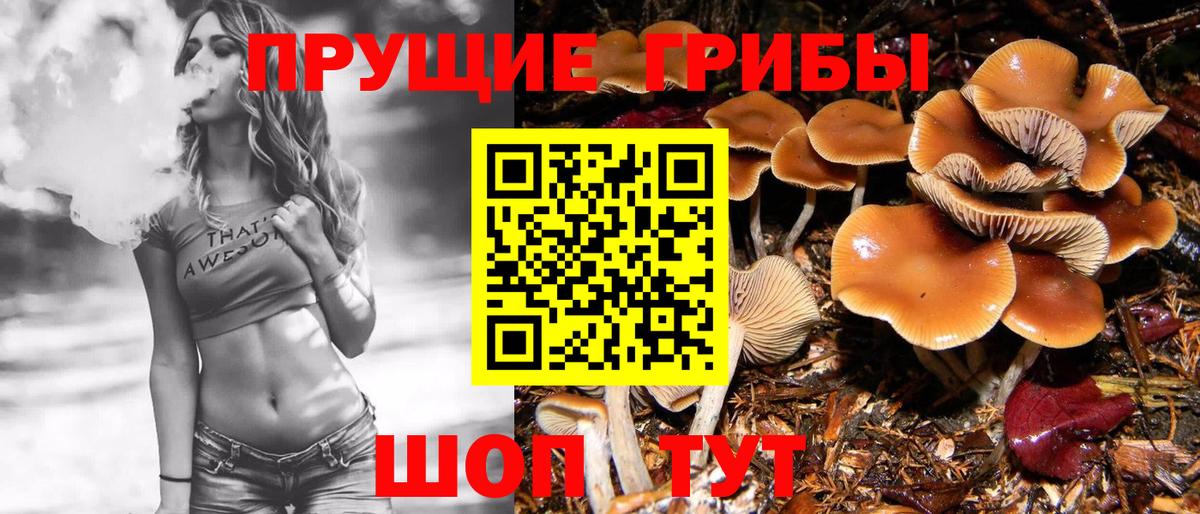 Москва  Галлюциногенные грибы ЛСД  Галлюциногенные грибы мухоморы  Вход с VPN 